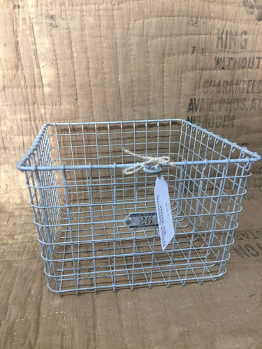 Antique Swimming Pool Basket