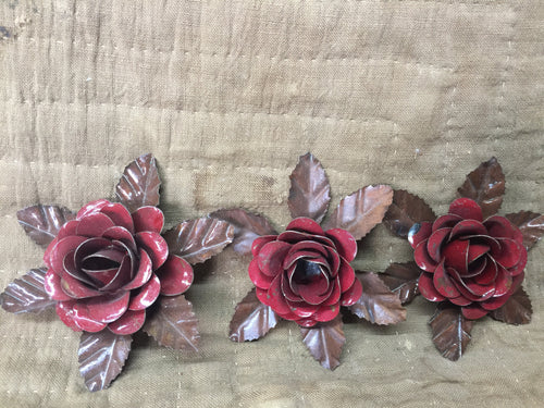 Painted Roses
