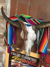 Load image into Gallery viewer, Vintage Cow Skulls